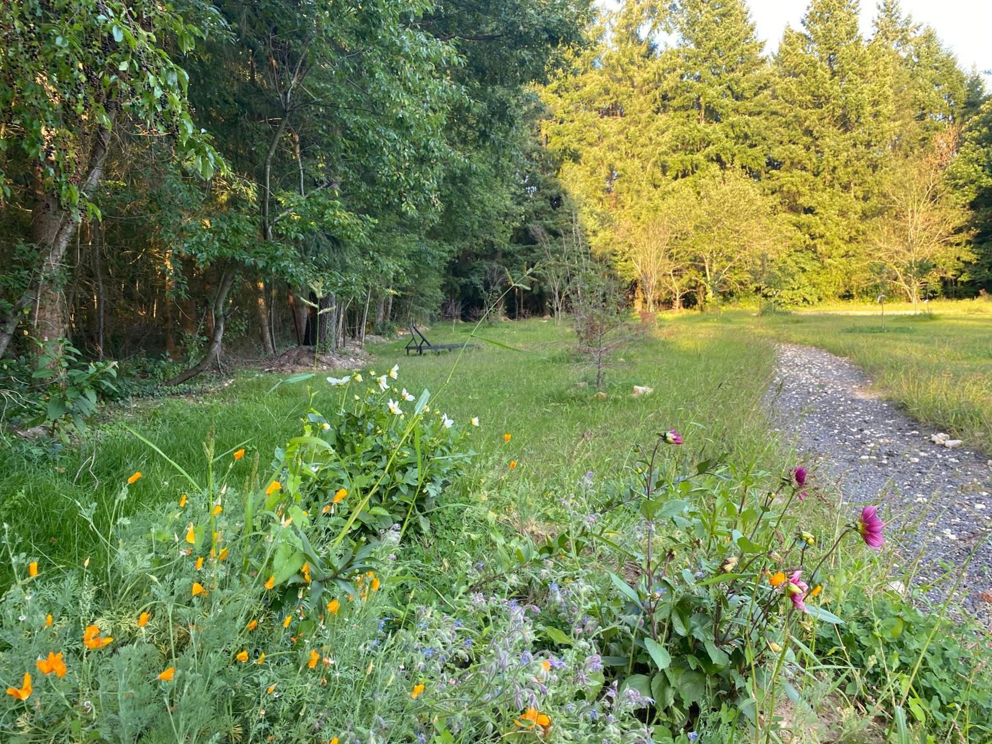 Maison Dans Parc Prive, Sports Et Loisirs Proche Golf Du Coudray Montceaux Le Coudray-Montceaux Kültér fotó